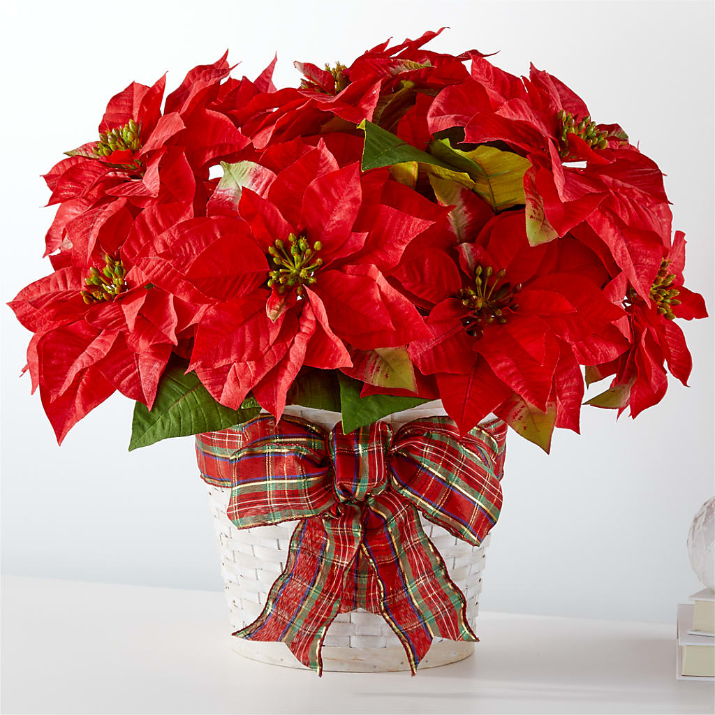 Happiest Holidays Poinsettia – Maes Flower Shop, Ville Platte LA