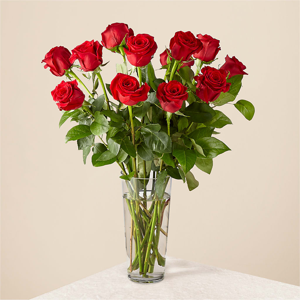 Long Stem Red Rose Bouquet – Maes Flower Shop, Ville Platte LA