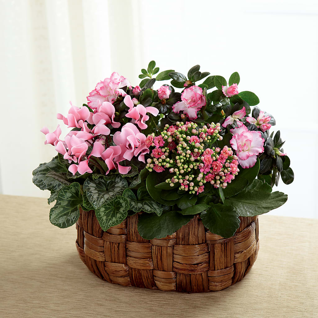 Pink Assortment – Maes Flower Shop, Ville Platte LA