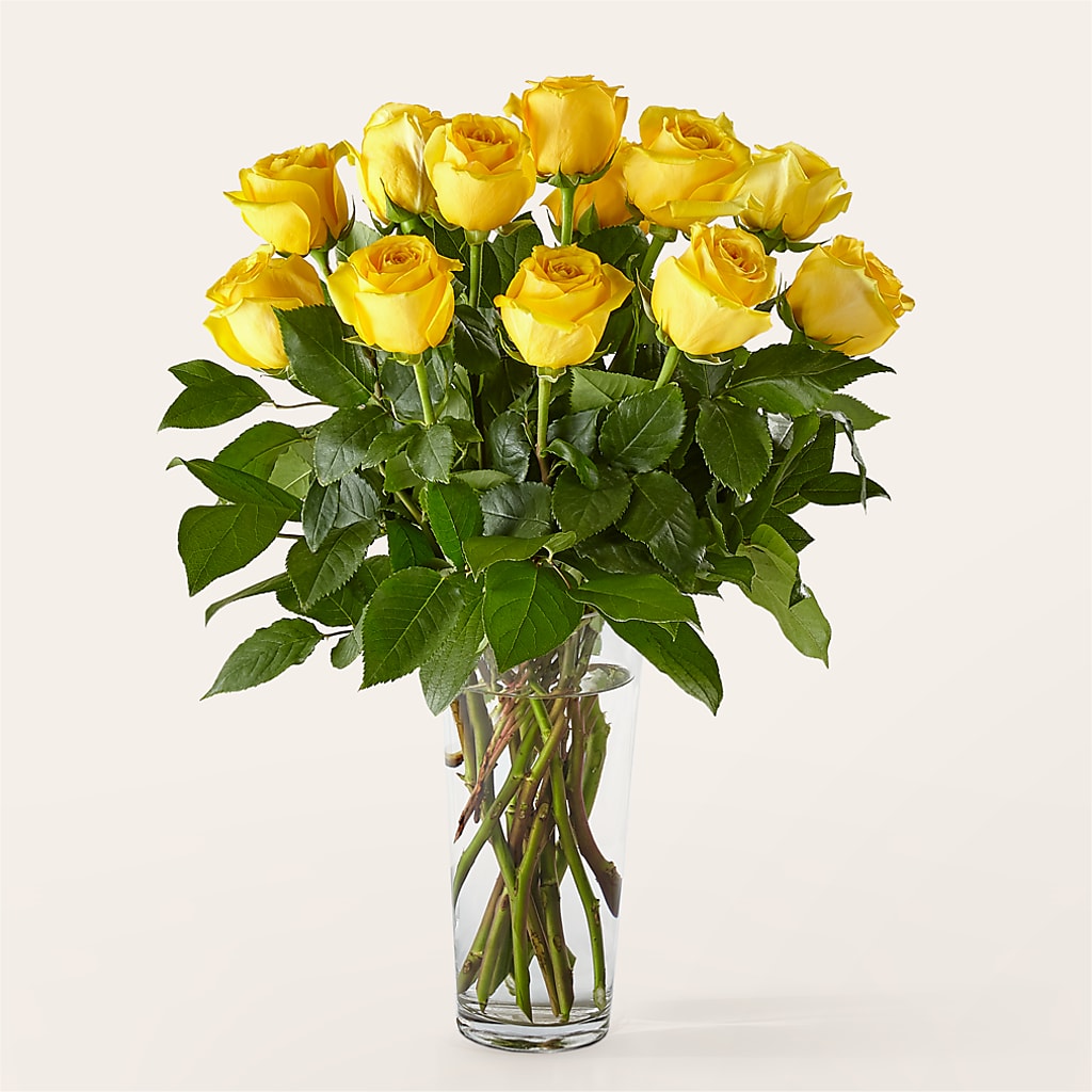 Long Stem Yellow Rose Bouquet – Maes Flower Shop, Ville Platte LA