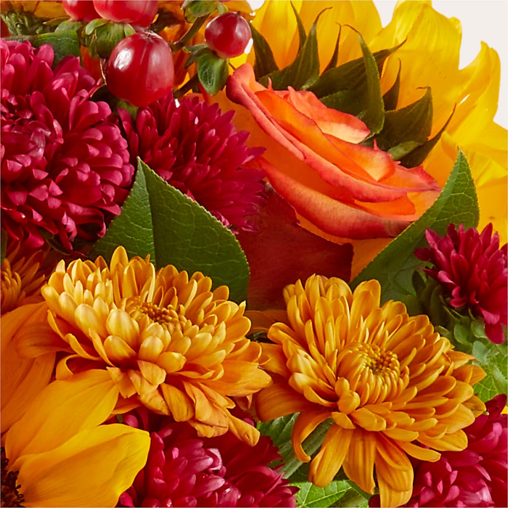 Sweater Season - A Florist Original – Maes Flower Shop, Ville Platte LA