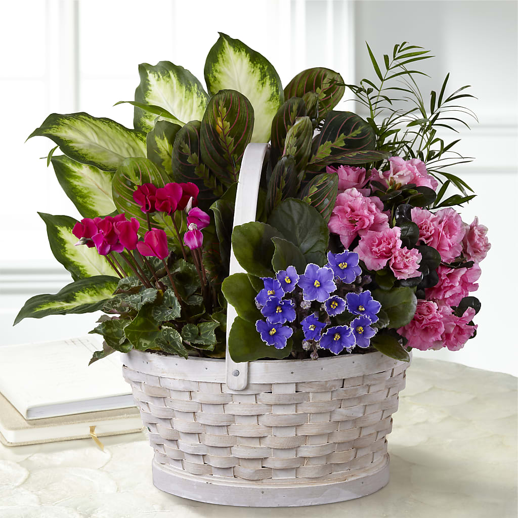 Peaceful Garden Planter – Maes Flower Shop, Ville Platte LA