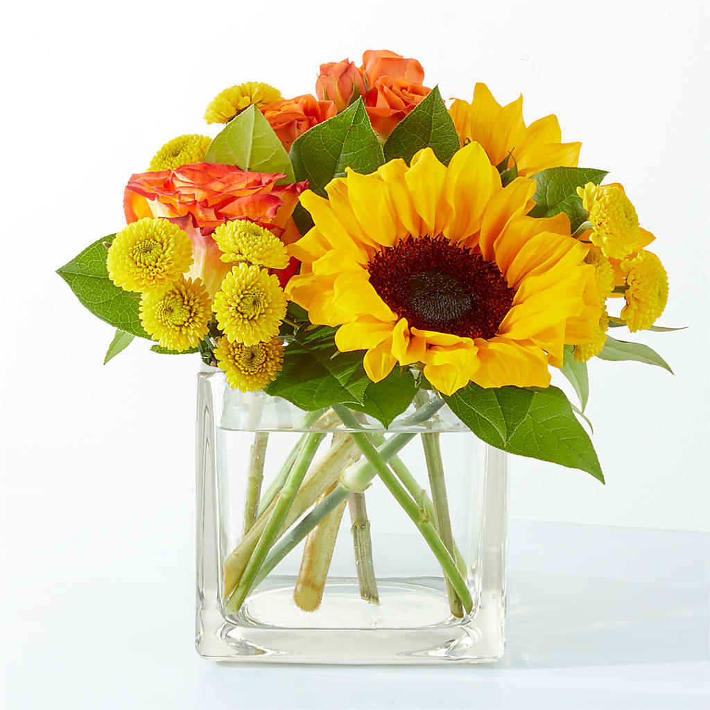 Picnic in the Park Bouquet – Maes Flower Shop, Ville Platte LA