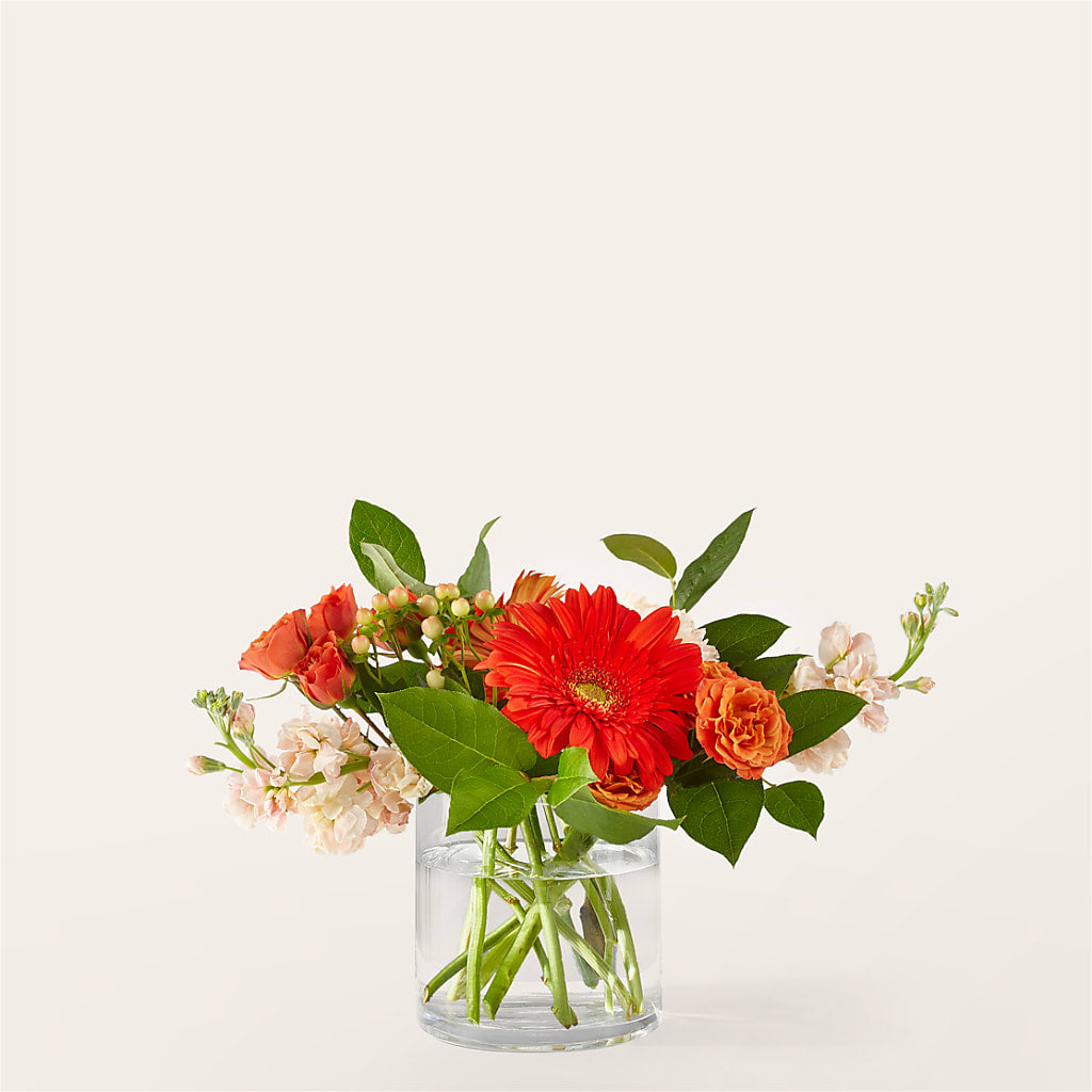 Paloma Please Bouquet – Maes Flower Shop, Ville Platte LA