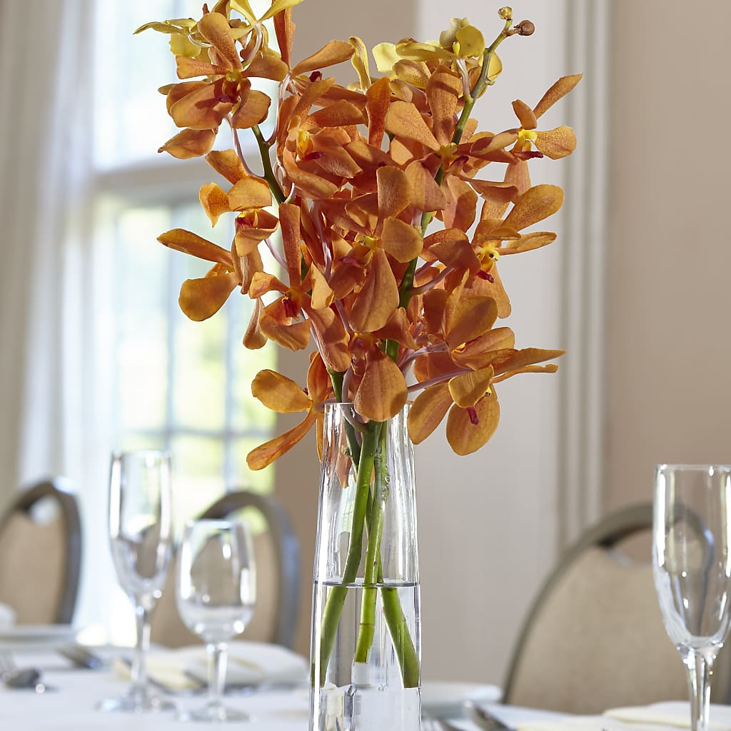 Orange Mokara Bud Vase – Maes Flower Shop, Ville Platte LA