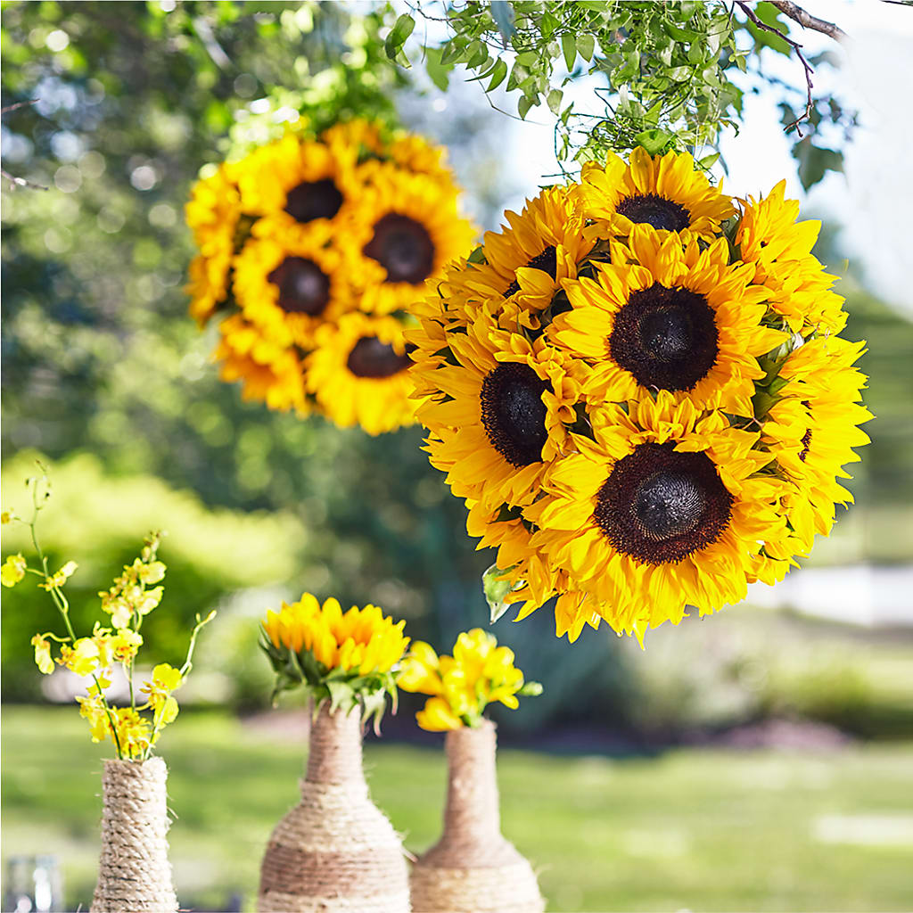 Sublime Garden Hanging Arrangement – Maes Flower Shop, Ville Platte LA