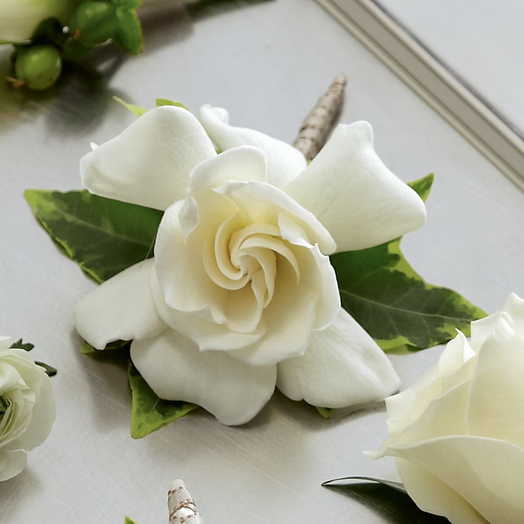 Gardenia Boutonniere – Maes Flower Shop, Ville Platte LA
