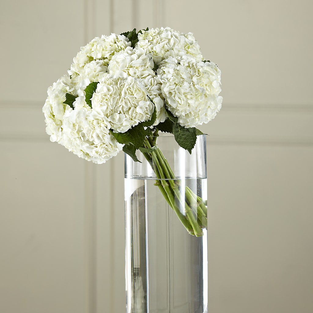 White Hydrangea Hand-Tied Bouquet – Maes Flower Shop, Ville Platte LA