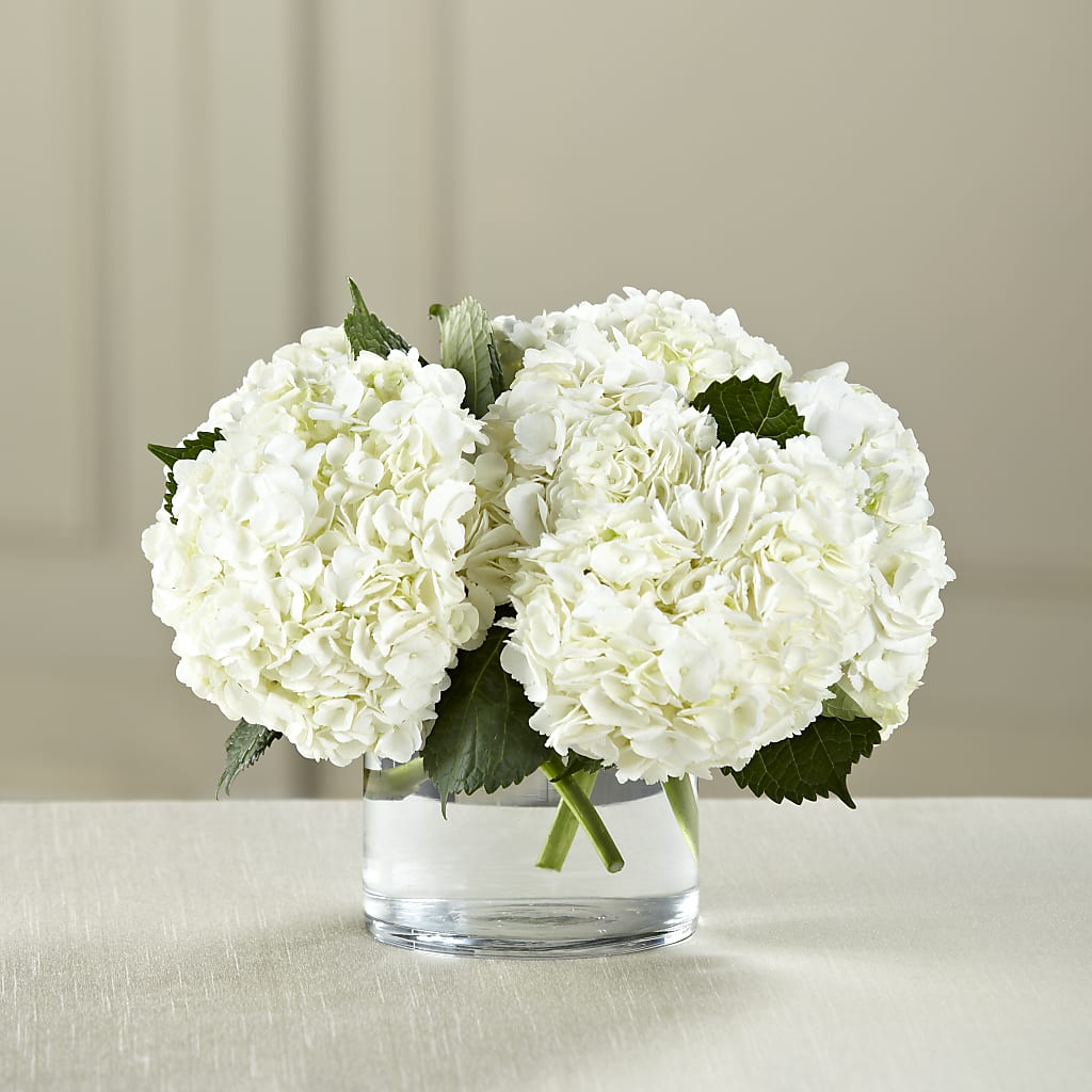 White Hydrangea Bouquet – Maes Flower Shop, Ville Platte LA