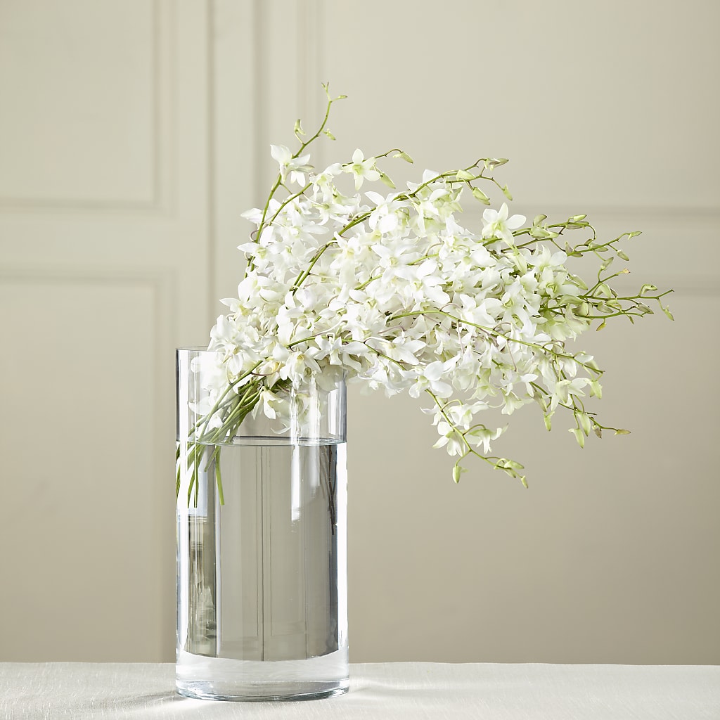 White Dendrobium Bouquet – Maes Flower Shop, Ville Platte LA