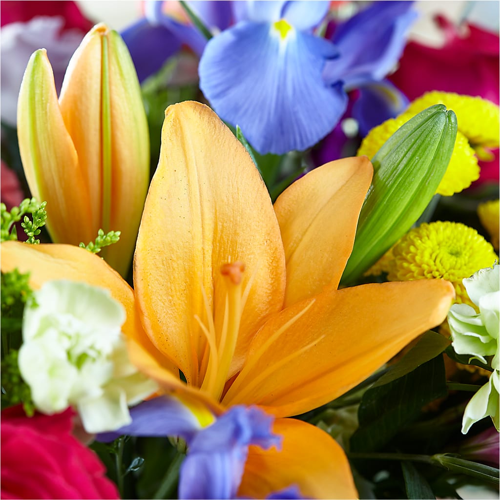 Bold & Bright – A Florist Original –  Maes Flower Shop, Ville Platte LA