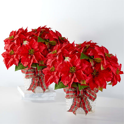 Happiest Holidays Poinsettia Bundle –  Maes Flower Shop, Ville Platte LA