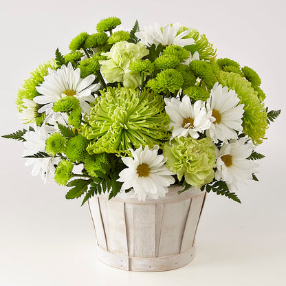 Lucky Charm Basket (Standard) –  Maes Flower Shop, Ville Platte LA