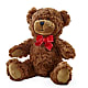 Adorable Plush Bear –  Maes Flower Shop, Ville Platte LA