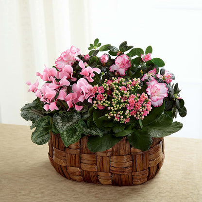 Pink Assortment –  Maes Flower Shop, Ville Platte LA