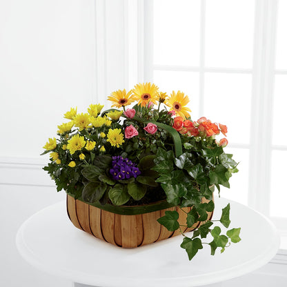 Gentle Blossoms Basket –  Maes Flower Shop, Ville Platte LA