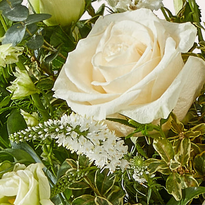 Cashmere Bouquet –  Maes Flower Shop, Ville Platte LA