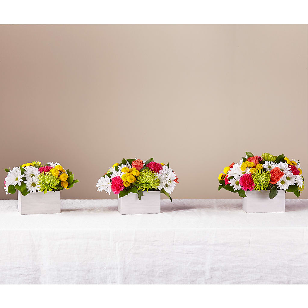 Sorbet Bouquet –  Maes Flower Shop, Ville Platte LA