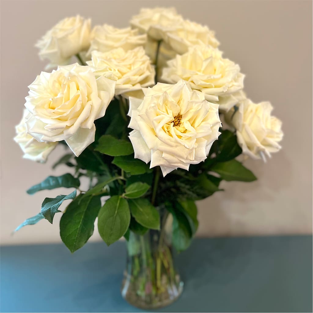 Long Stem Yellow Rose Bouquet –  Maes Flower Shop, Ville Platte LA
