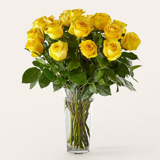 Long Stem Yellow Rose Bouquet –  Maes Flower Shop, Ville Platte LA