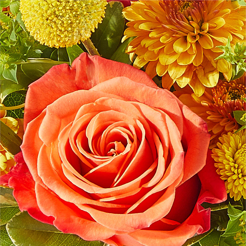 Gourdgeous Pumpkin –  Maes Flower Shop, Ville Platte LA