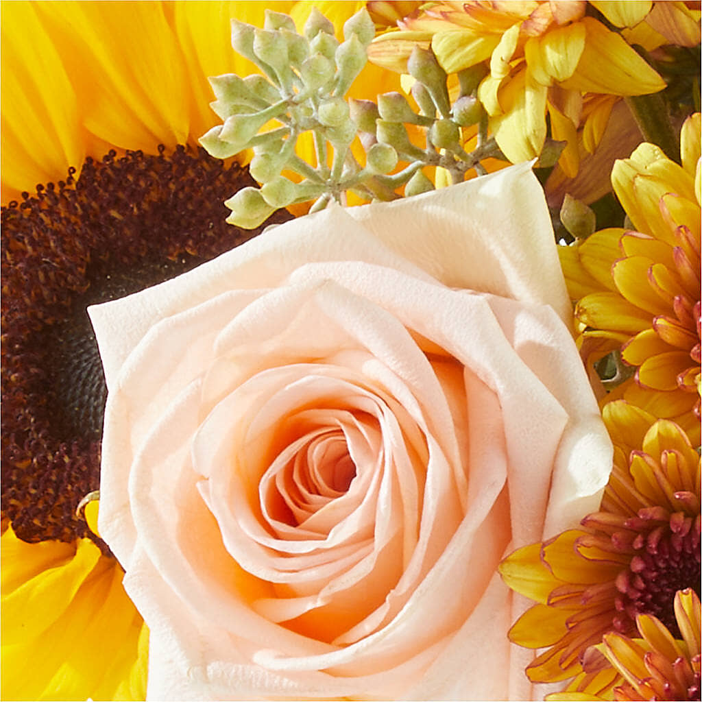 Pumpkin to Talk About Bouquet –  Maes Flower Shop, Ville Platte LA