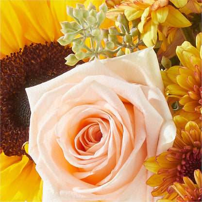 Pumpkin to Talk About Bouquet –  Maes Flower Shop, Ville Platte LA