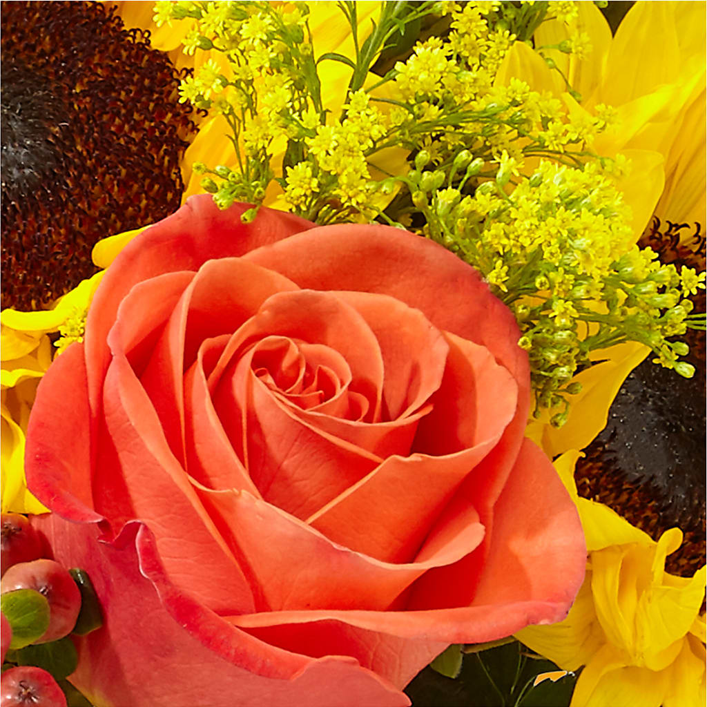 Pick of the Patch Pumpkin Bouquet –  Maes Flower Shop, Ville Platte LA
