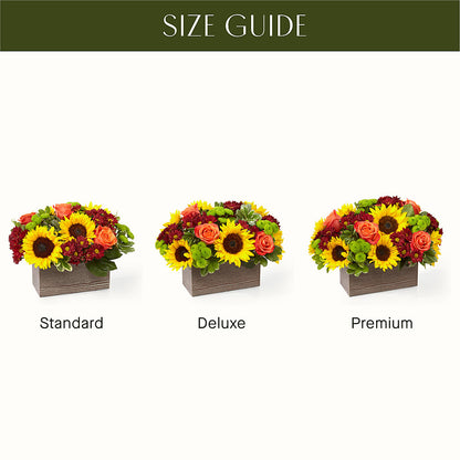 Happy Harvest Garden –  Maes Flower Shop, Ville Platte LA