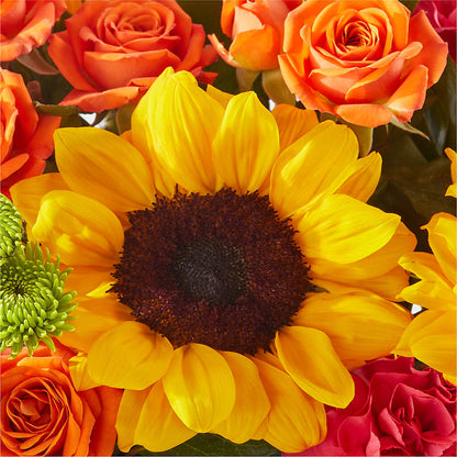 Sun-drenched Blooms Box Bouquet –  Maes Flower Shop, Ville Platte LA