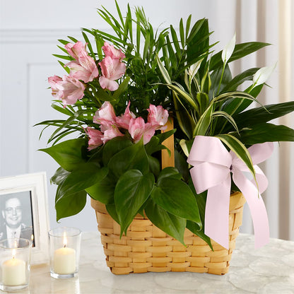 Living Spirit Dishgarden –  Maes Flower Shop, Ville Platte LA