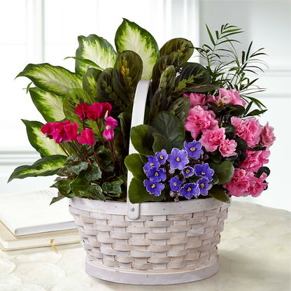 Peaceful Garden Planter –  Maes Flower Shop, Ville Platte LA