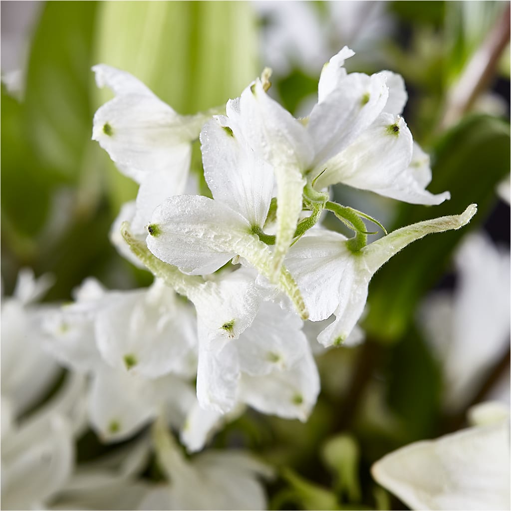 Classic Ivory – A Florist Original –  Maes Flower Shop, Ville Platte LA