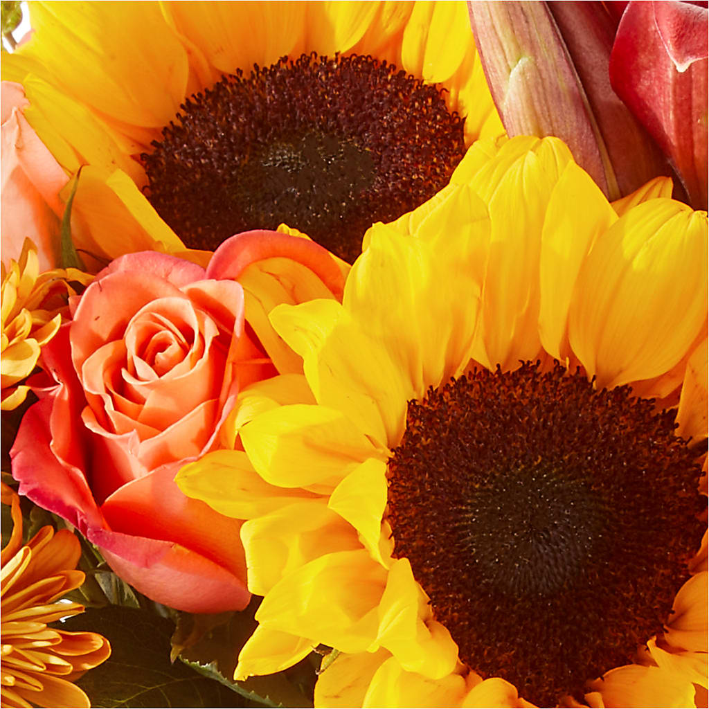 Acorn Lane Bouquet –  Maes Flower Shop, Ville Platte LA
