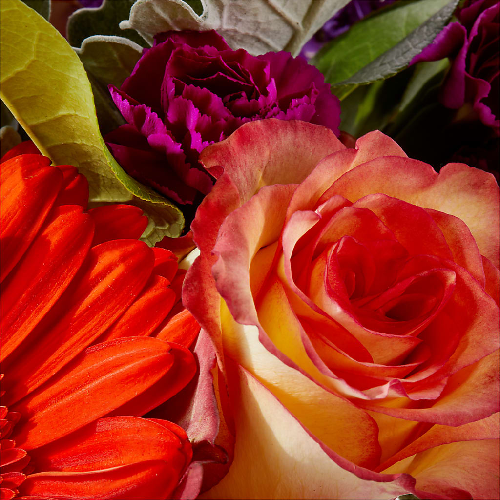 Sangria Bouquet –  Maes Flower Shop, Ville Platte LA