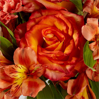 Apricot Glow Bouquet –  Maes Flower Shop, Ville Platte LA