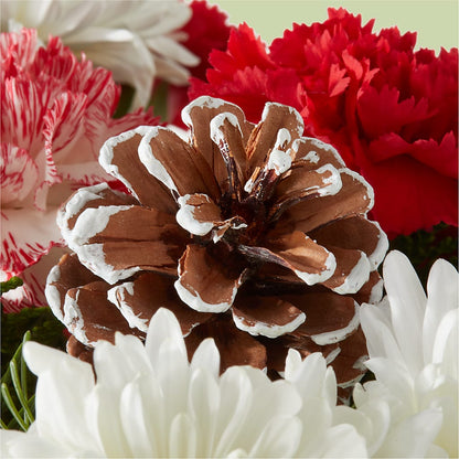 Candy Cane Lane Bouquet –  Maes Flower Shop, Ville Platte LA