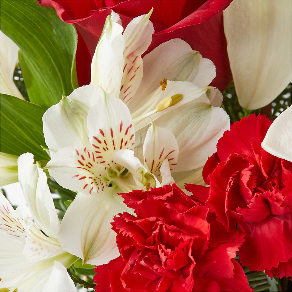 Holiday Season Bouquet –  Maes Flower Shop, Ville Platte LA