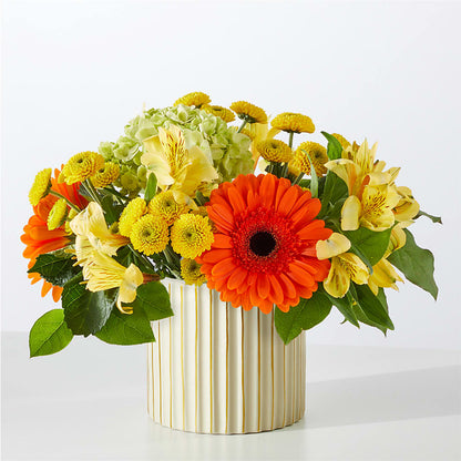 Autumn Sunshine Bouquet with Ivory Vase –  Maes Flower Shop, Ville Platte LA