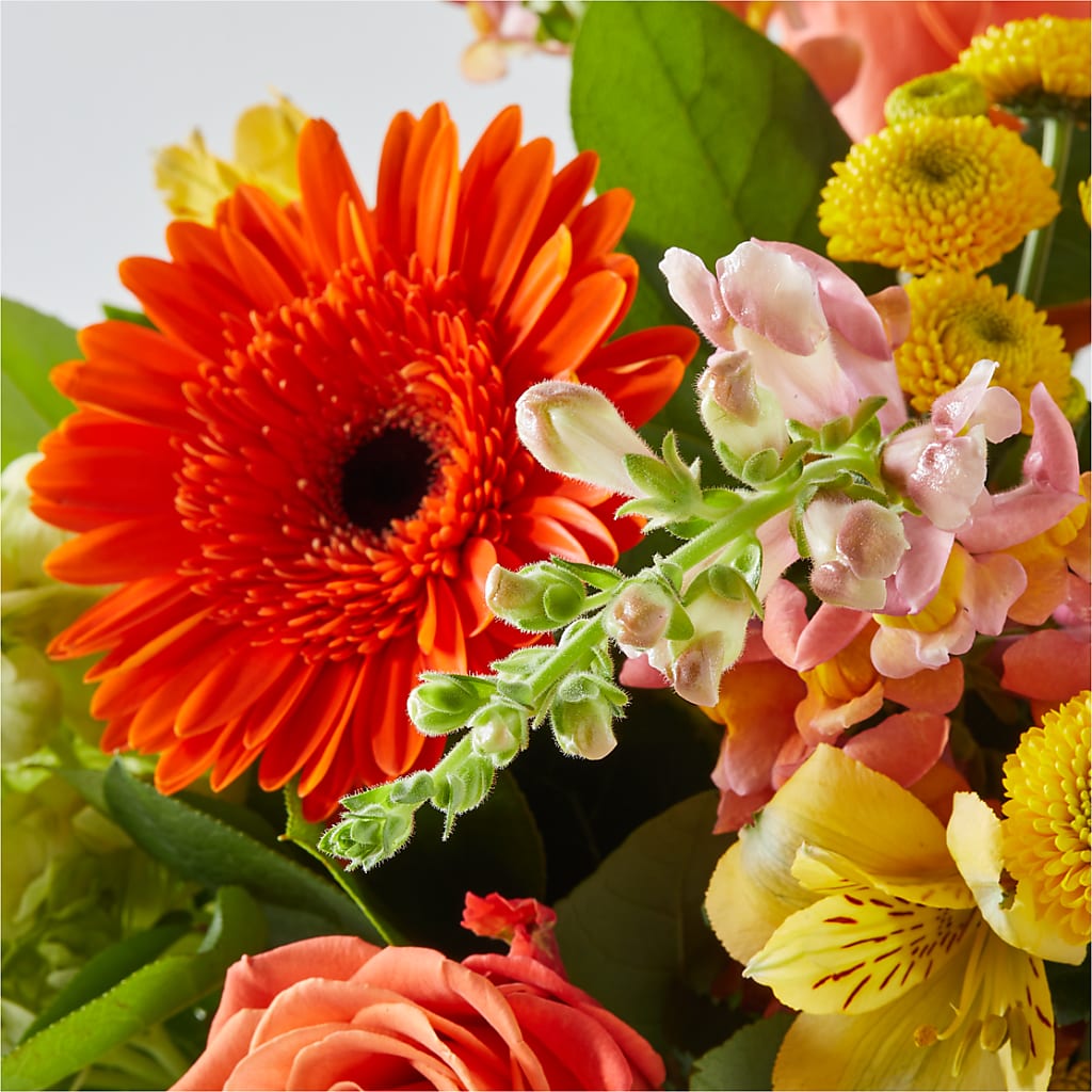 Autumn Sunshine Bouquet –  Maes Flower Shop, Ville Platte LA