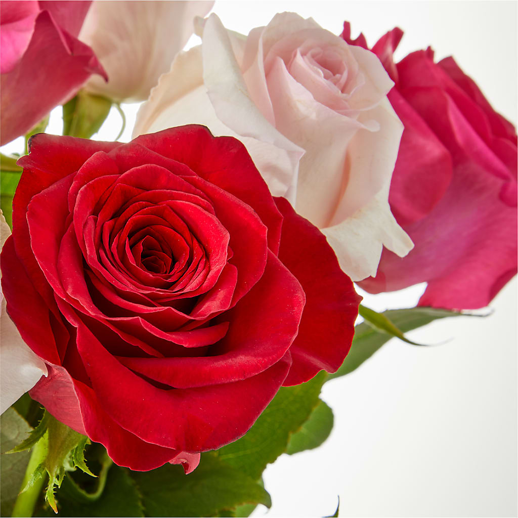 Charming Rose Bouquet –  Maes Flower Shop, Ville Platte LA