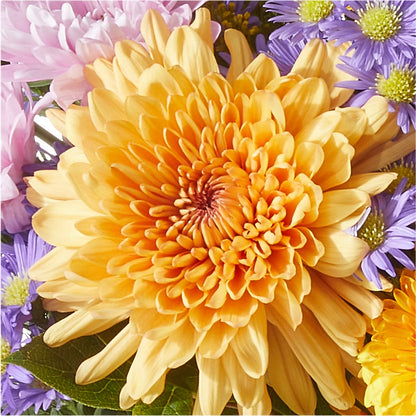 Countryside Bouquet –  Maes Flower Shop, Ville Platte LA