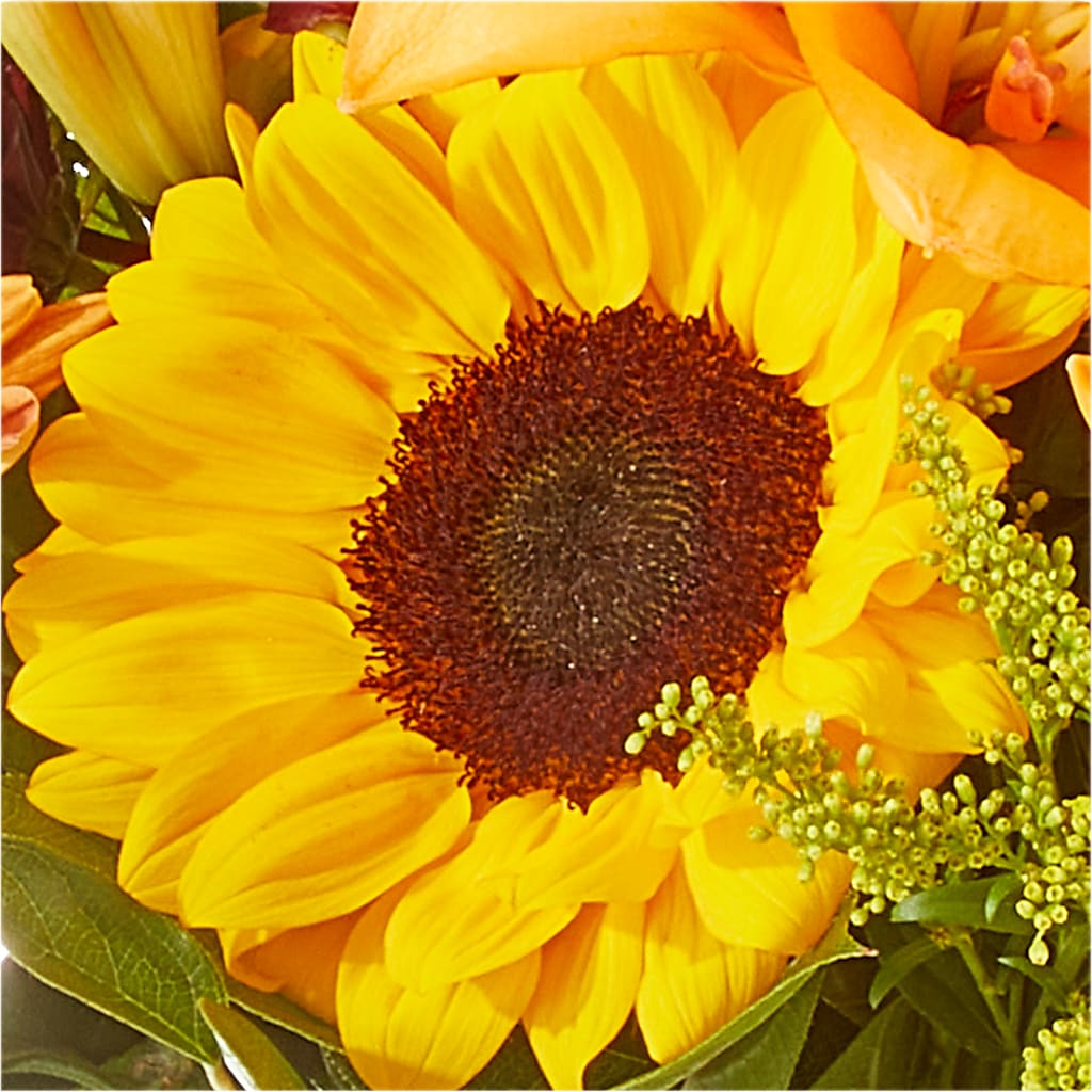 Seasons Change Bouquet –  Maes Flower Shop, Ville Platte LA