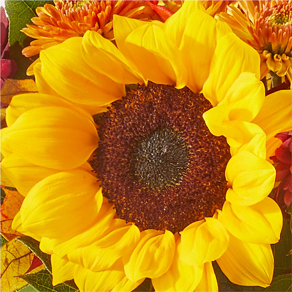 Sunny Side Bouquet –  Maes Flower Shop, Ville Platte LA