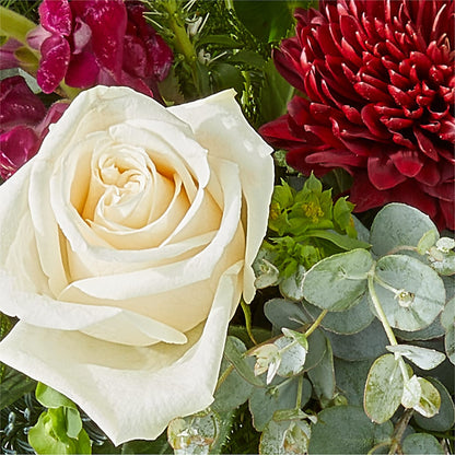Cranberry Fizz Bouquet –  Maes Flower Shop, Ville Platte LA