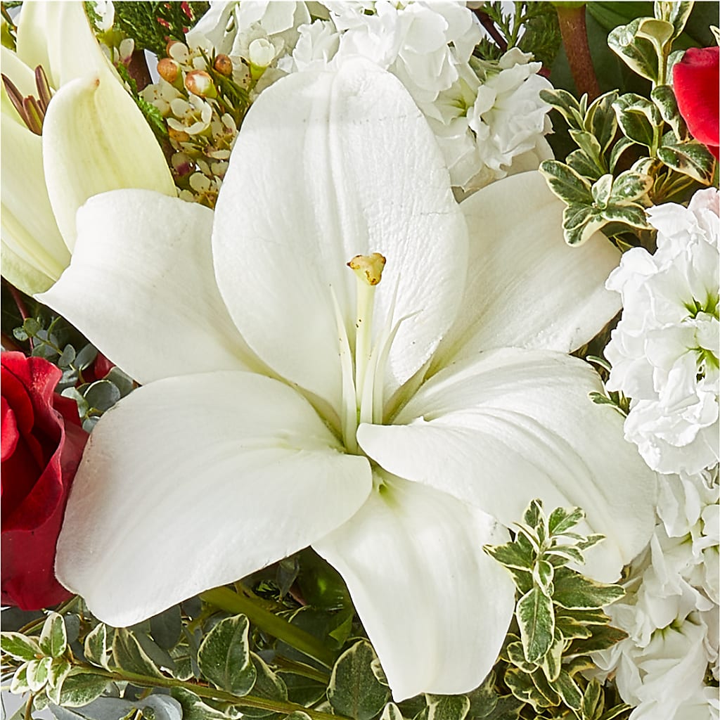 Twinkle Lights Bouquet –  Maes Flower Shop, Ville Platte LA