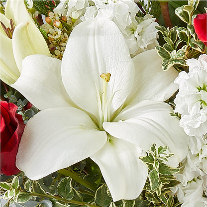 Twinkle Lights Bouquet –  Maes Flower Shop, Ville Platte LA