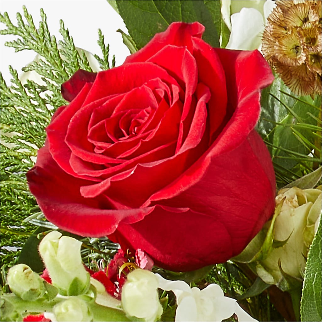 Deck the Halls Bouquet –  Maes Flower Shop, Ville Platte LA