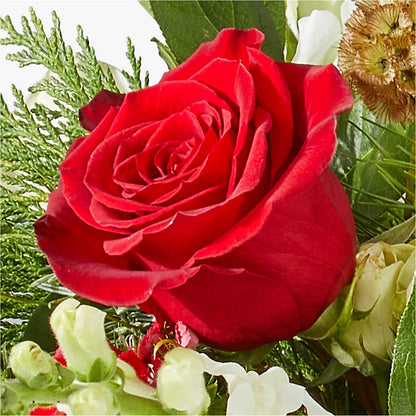 Deck the Halls Bouquet –  Maes Flower Shop, Ville Platte LA