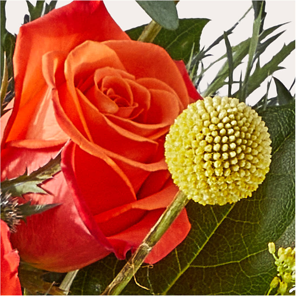 Disco Bouquet –  Maes Flower Shop, Ville Platte LA